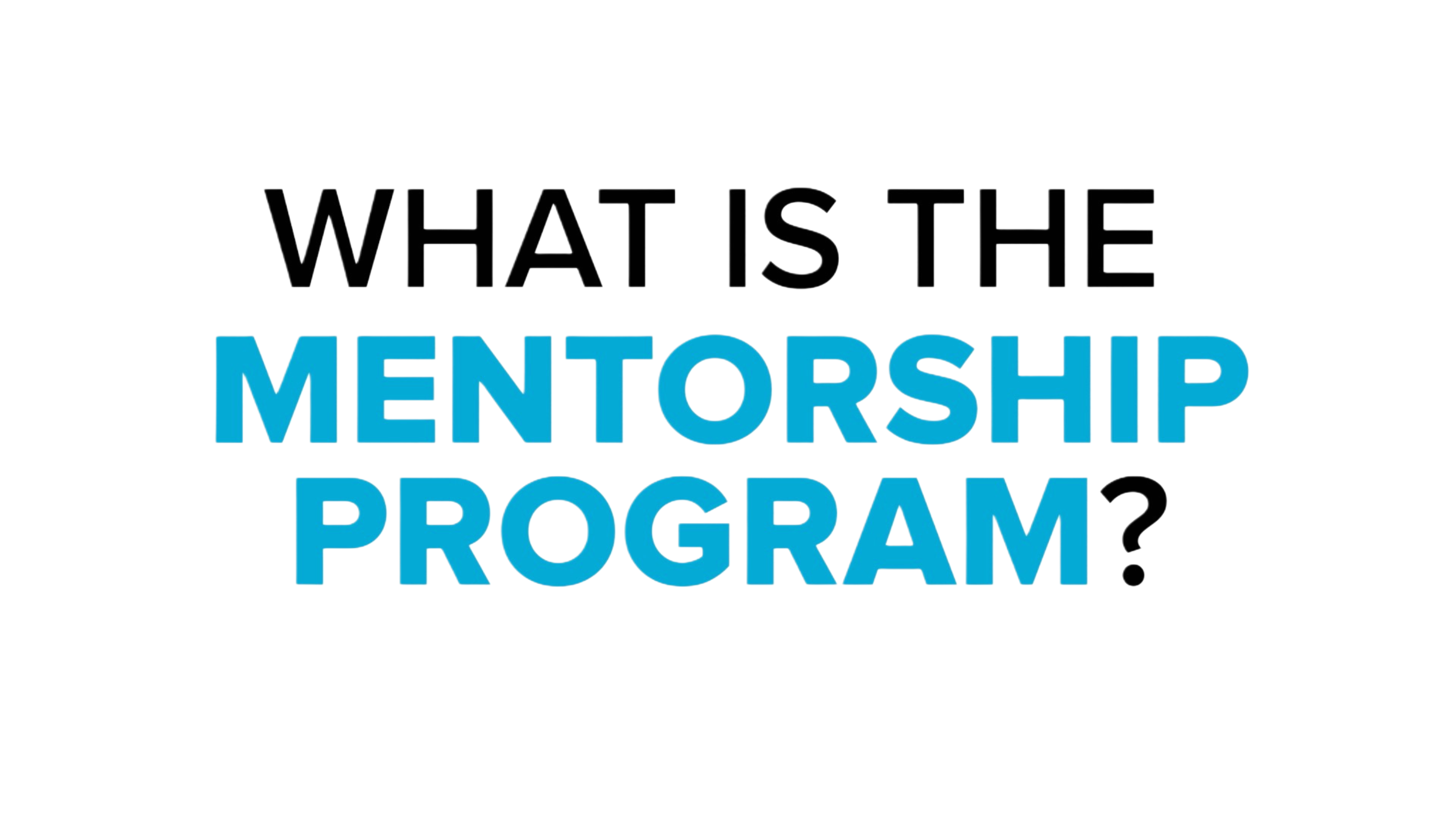 What is the Mentorship Program?